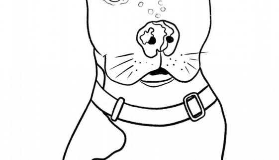 ACPB Coloring Contest