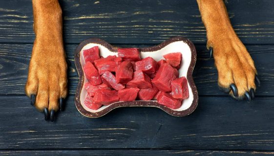 Dog Food Recipes Beef Sirloin Skillet