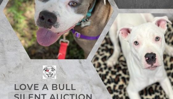 Love A Bulls 2022 Virtual Silent Auction