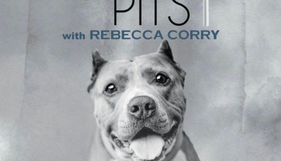 STAND UP FOR PITS COMEDY SPECIAL AVAILABLE NOW